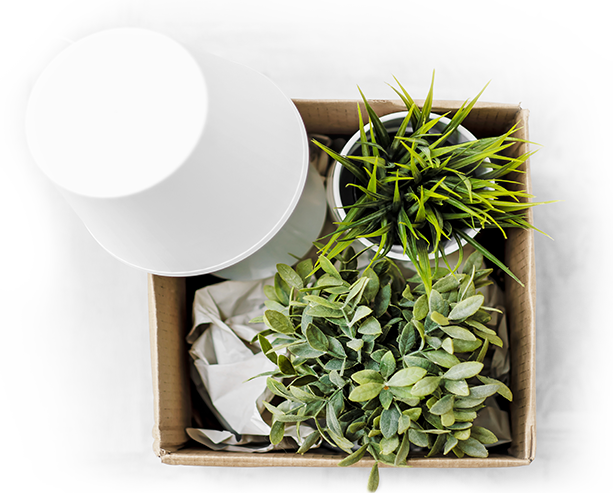 Box filled with green plants and a white lamp