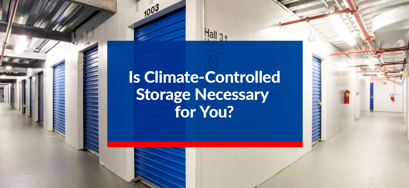 Is Climate-Controlled Storage Necessary for You?